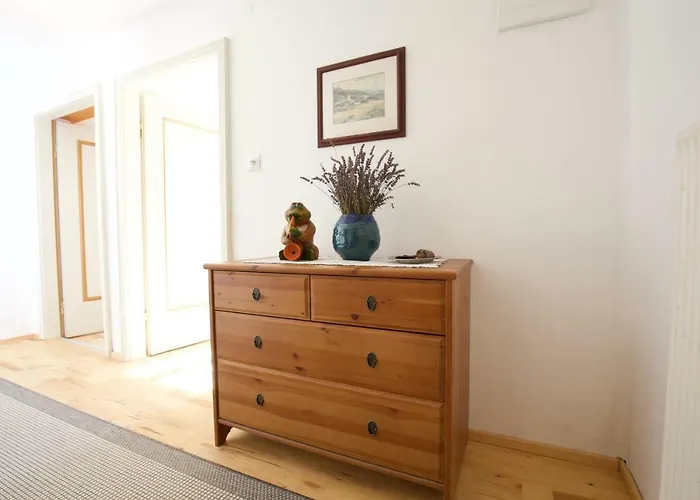 Monika Knoflach * إنسبروك