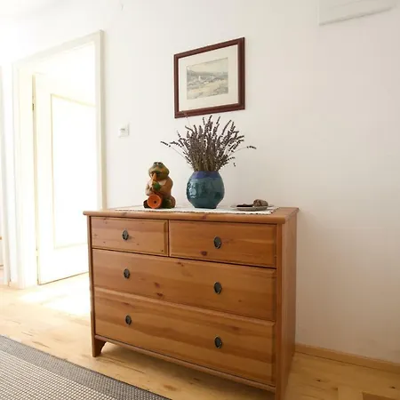 Monika Knoflach * 因斯布鲁克